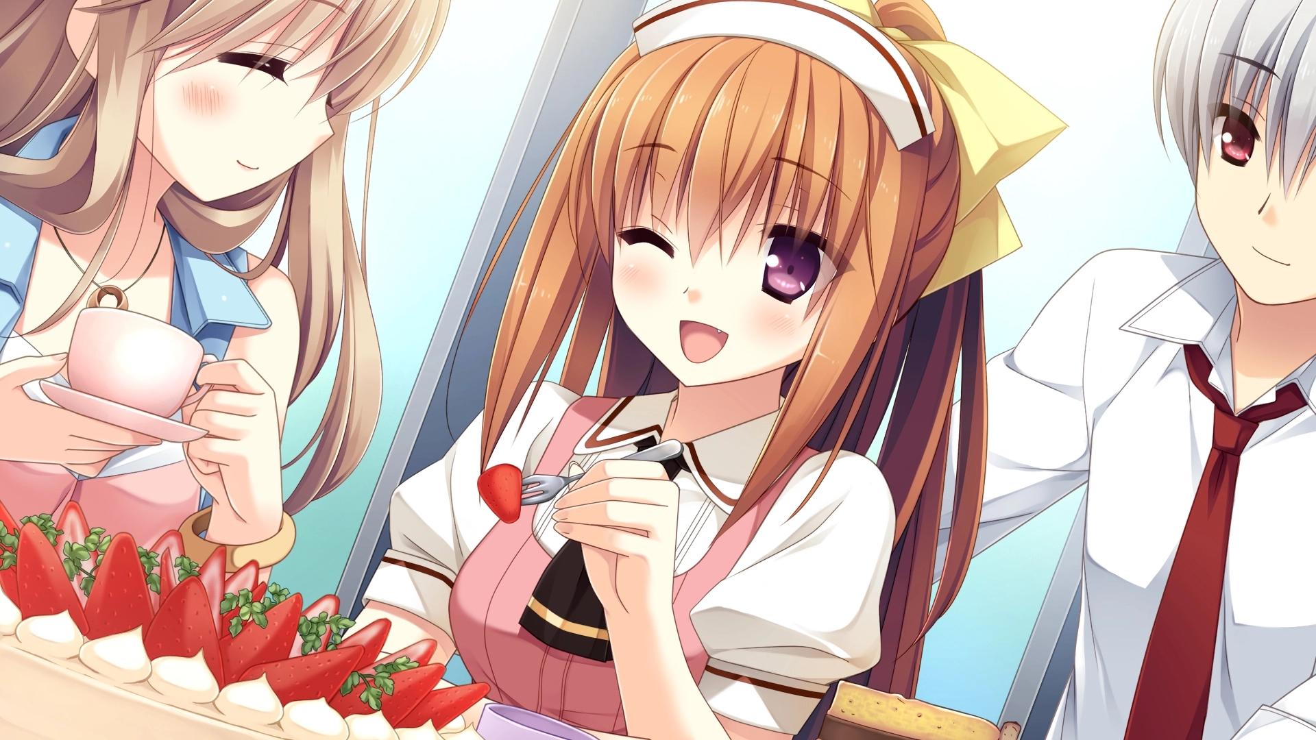 [PC+krkr]仓野家的双子情事