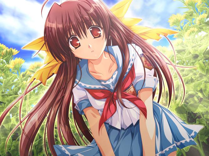 图片[2]-【PC】车轮之国 向日葵的少女-柚哩神社