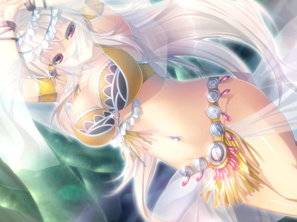 图片[2]-[PC]无限炼姧-柚哩神社