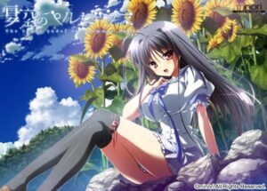 [PC]夏空的英仙座-柚哩神社
