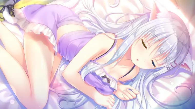 图片[5]-[PC]喵咪喵咪喵-柚哩神社