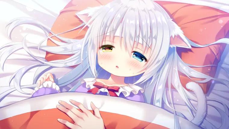 图片[4]-[PC]喵咪喵咪喵-柚哩神社