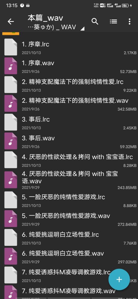 图片[1]-【教程】ASMR的使用方法-柚哩神社